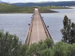 Flora del Cerro Masatrigo